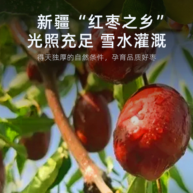 Dried Xinjiang Grey Jujube Dates 250g Bag Ready to Eat Red Date Snack - Image 4