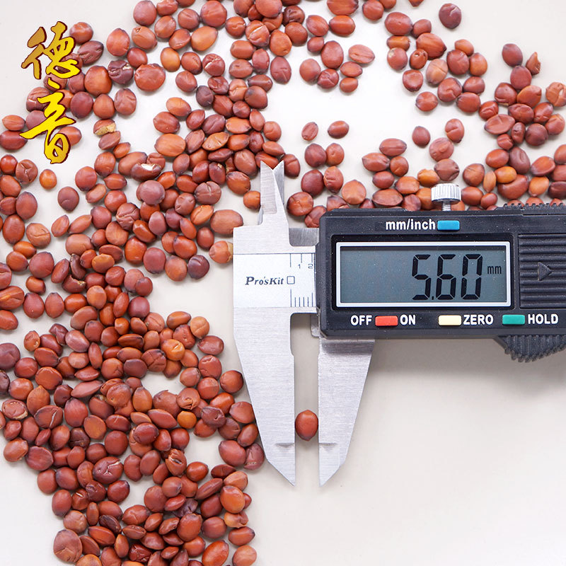 Stir-Fried Suan Zao Ren Sour Jujube Seeds 500g Loose Dried Ziziphus Seeds for Herbal Decoction and Tea - Image 2