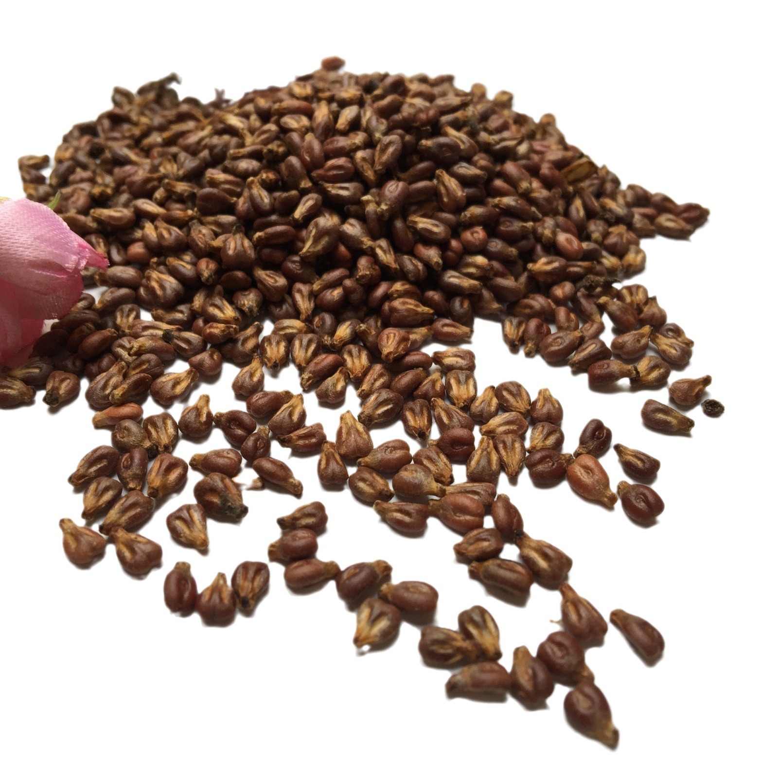 Grape Seed Powder Xinjiang Roasted Pu Tao Zi Culinary Herbal Ingredient - Image 5