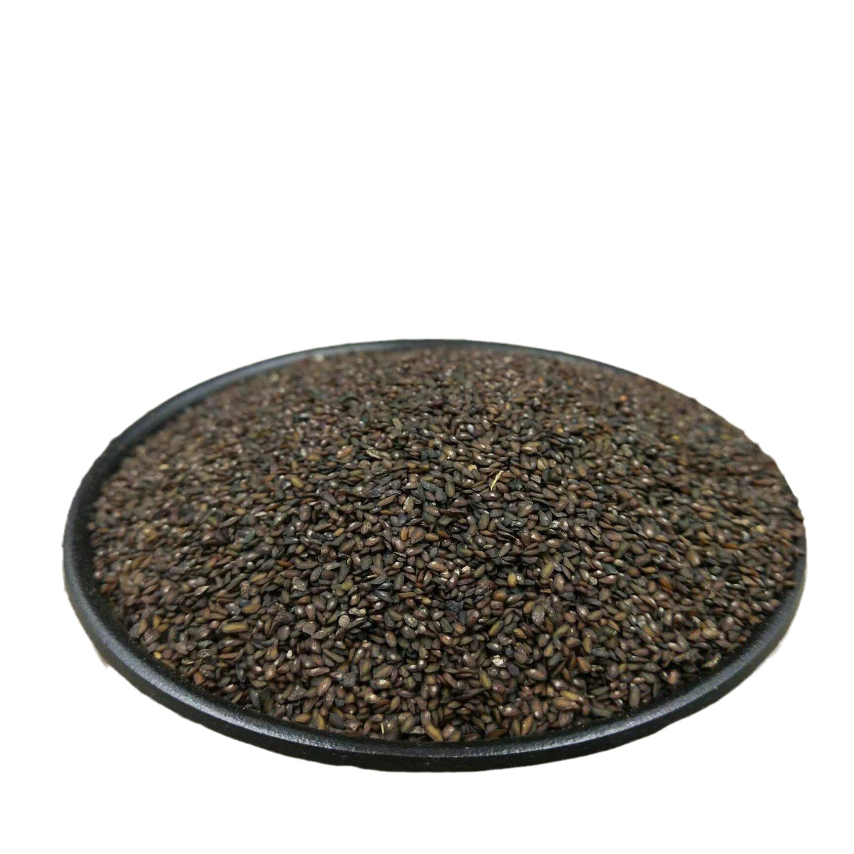 Che Qian Zi (Plantago asiatica Seed) — Dried Food-Herb Seeds, Clean Unsulfured New Crop - Image 3