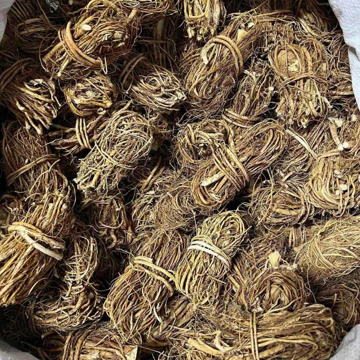 Dried Wuzhimaotao Root Bundles Cantonese Soup Herb 50g - Image 4