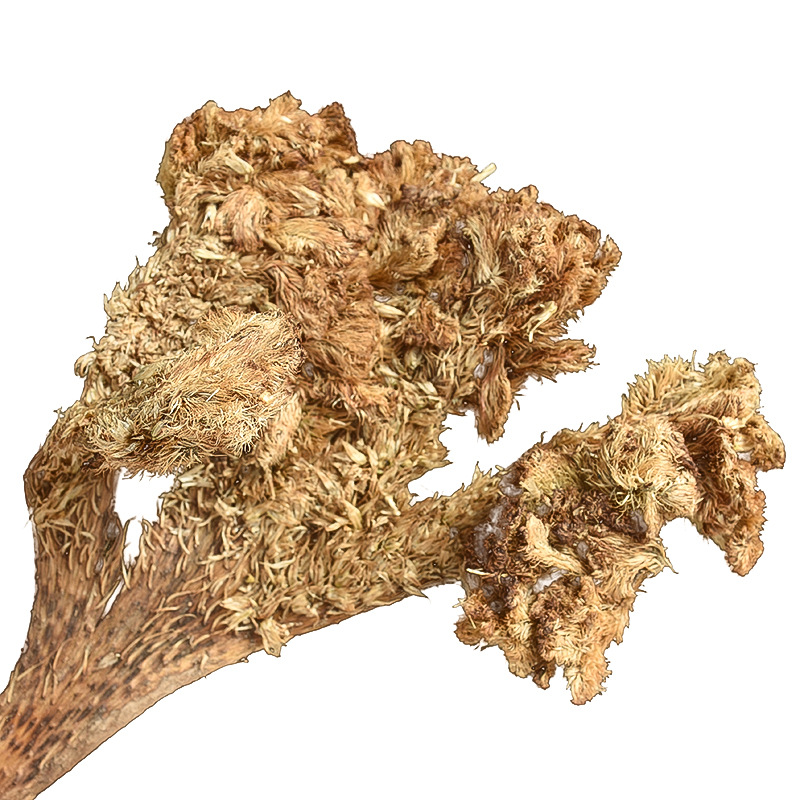 Bai Ji Guan Hua (Celosia argentea) — Dried White Cockscomb Flower, Food Herb for Tea & Soup - Image 5