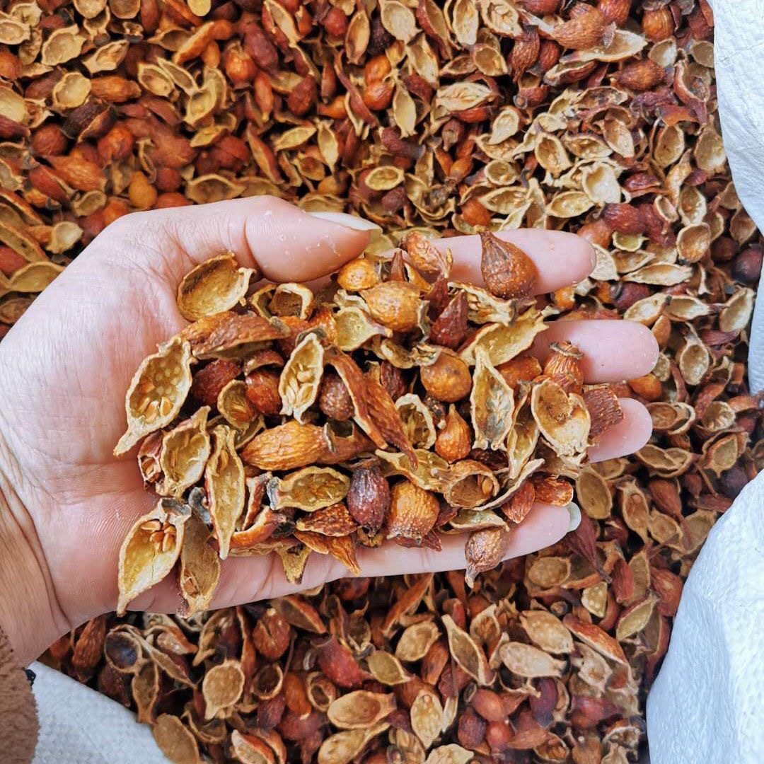 Deseeded Cherokee Rose Fruit Jin Ying Zi 500g Dried Rosa laevigata Fruit for Herbal Tea and Wine Infusion - Image 4