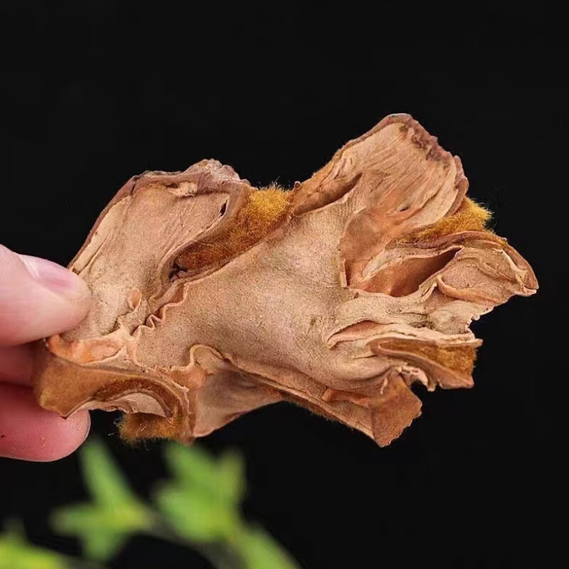 Gou Ji Dried Slices 500g Cibotium Barometz Rhizome Raw Herb for Decoction and Soup - Image 2