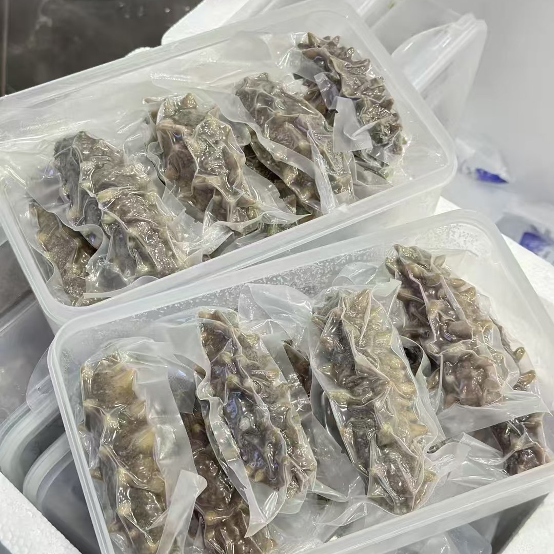 Ready to Eat Sea Cucumber Frozen Cooked 500g Vacuum Packed Seafood Supply - Image 3