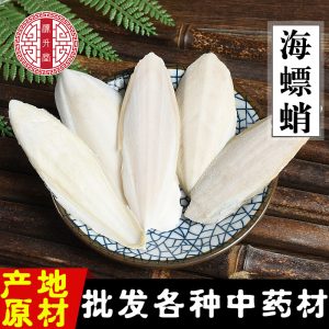 Hai Piao Xiao (Sepia esculenta) — Dried Cuttlebone Piece, Traditional Chinese Herb