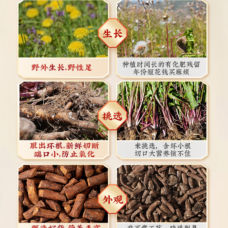 Wild Dandelion Root Tea Pu Gong Ying 30g Roasted Herbal Tea with Rose 40g - Image 2