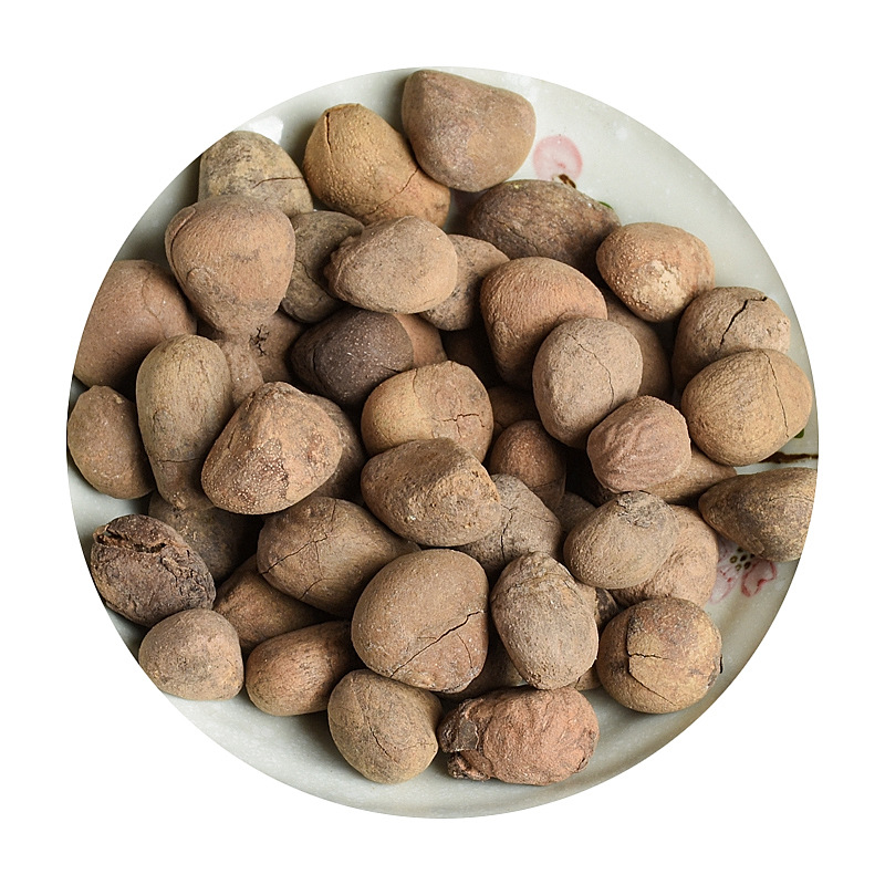 Da Feng Zi (Hydnocarpus anthelminticus) — Dried Chaulmoogra Seeds, Raw Herb Supply - Image 5