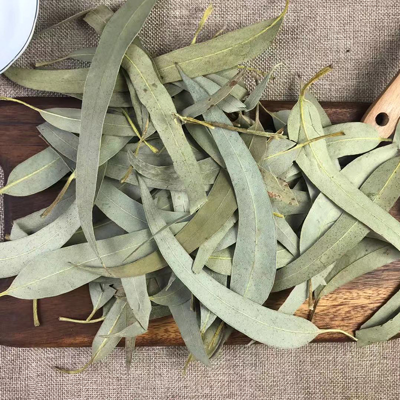 Dried Eucalyptus Leaf Granules An Ye 500g Bulk Herbal Tea Ingredient - Image 2