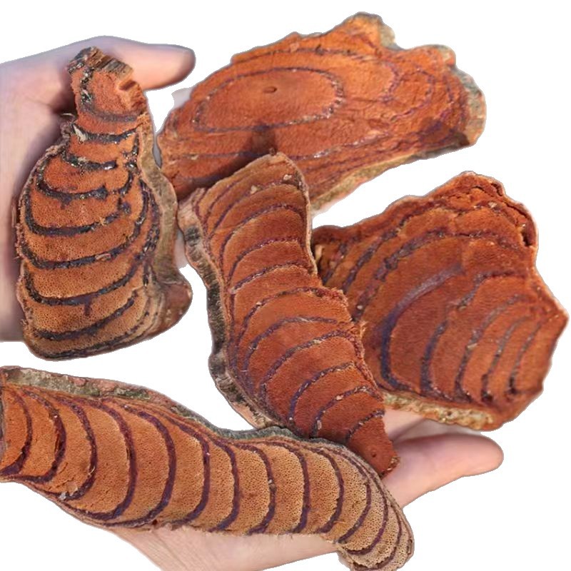Ji Xue Teng Dried Spatholobus Suberectus Vine Slices Chinese Herb for Decoction Soup and Wine Soaking - Image 5