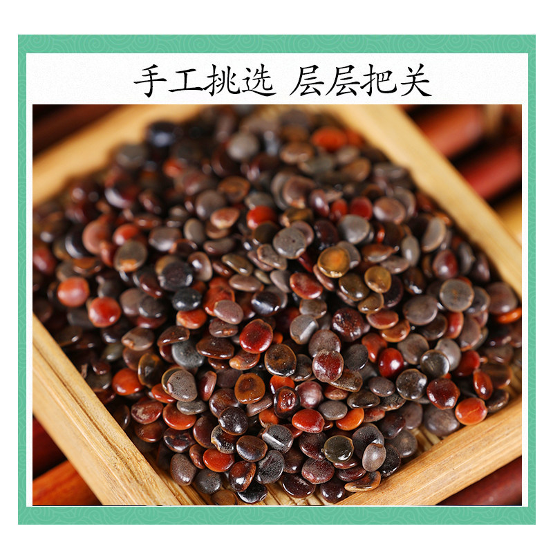 Wild Zhi Ju Zi Seeds 500g Dried Hovenia Dulcis Fruit Traditional TCM Herbal Tea Ingredient - Image 3