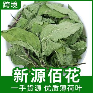 Mint Leaf Tea (Mentha spicata & Mentha × piperita) — Dried Anhui Spearmint & Lemon Mint Herbal Loose Leaf