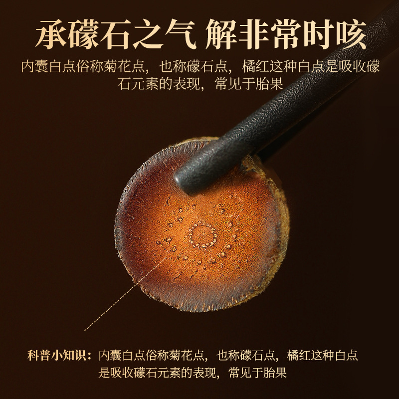 Aged Huazhou Exocarpium Citri Grandis Slices 15 Year Chenpi Herbal Tea 100g Round Tin - Image 3