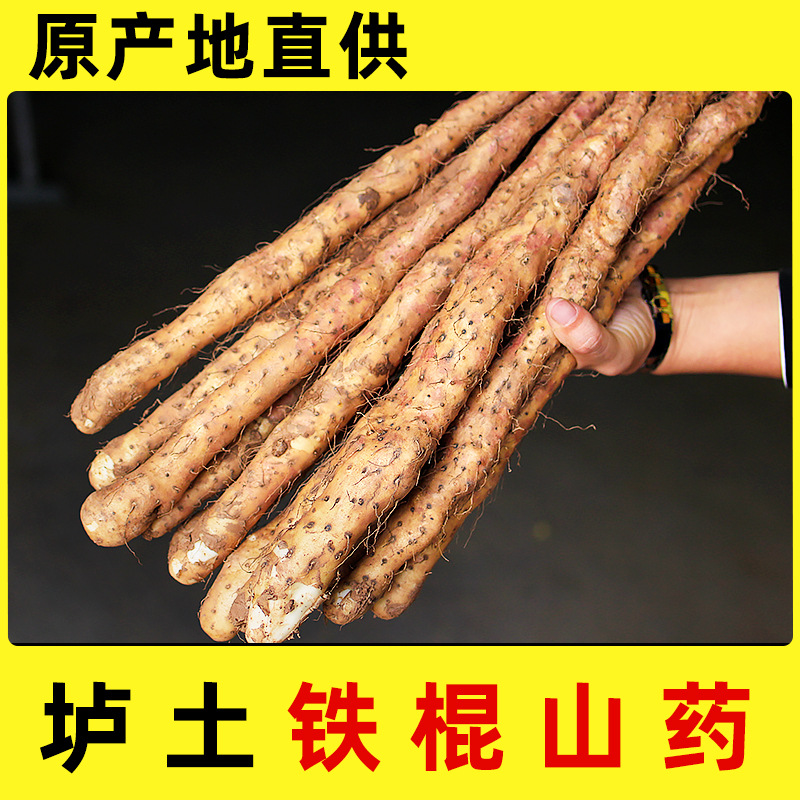 Fresh Wenxian Iron Stick Yam Chinese Yam Huai Shan 500g Henan Jiaozuo Origin - Image 2