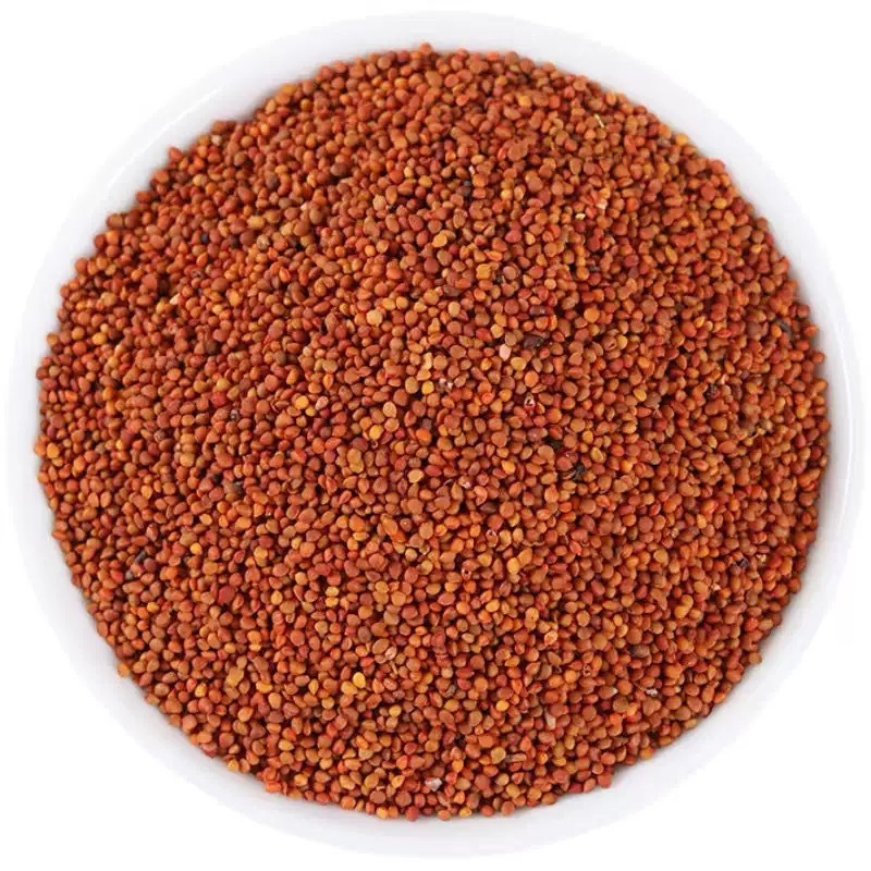Chu Shi Zi (Broussonetia papyrifera Fruit) — Dried Food Herb, 500g - Image 5