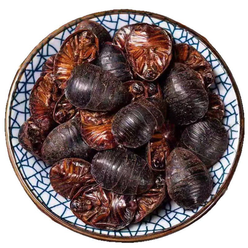 Tu Yuan (Eupolyphaga sinensis) — Dried Ground Beetle Herb, 500g Food-Grade - Image 5