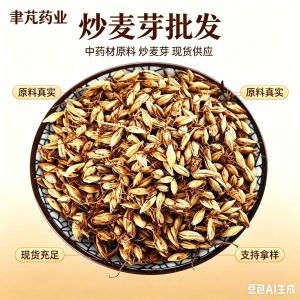 Roasted Barley Malt Mai Ya Tea Bags 500g Bulk Loose Herbal Tea for Brewing