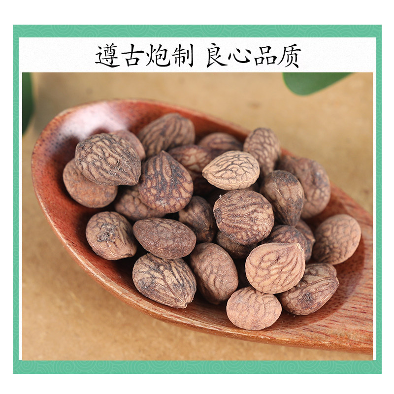 Wild Rui Ren Kernels Rui Ren Zi 500g Dried Prinsepia Seeds Traditional TCM Herb - Image 2