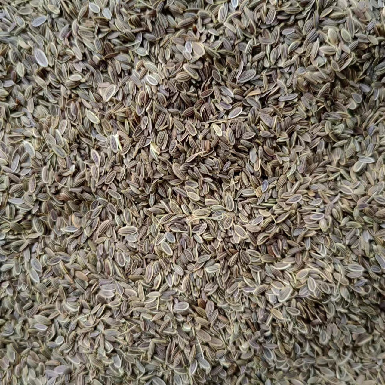 Qian Li Xiang (Murraya paniculata) — Dried Aromatic Herb for Braised Dishes & Spice Blends - Image 2
