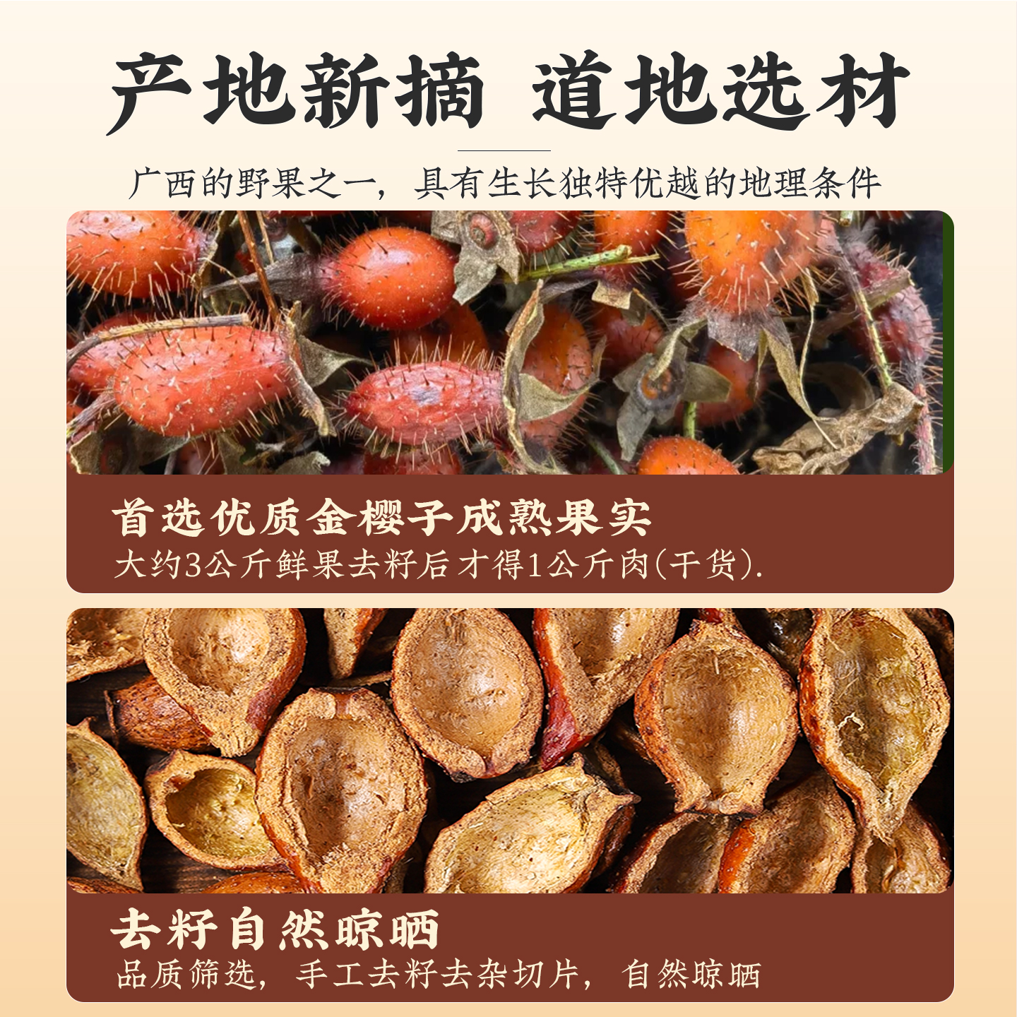 Dried Cherokee Rose Fruit Jin Ying Zi 金樱子 Tea Wine Soup Herb Wild Harvested 1500g Jar - Image 3