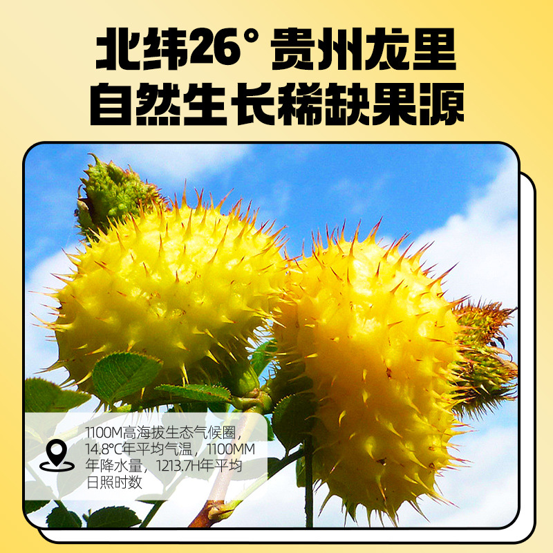 Rosa roxburghii Fruit Juice Concentrate 500ml Boxed Guizhou Cili Original Puree Drink - Image 3