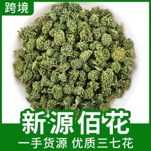 Notoginseng Flower Buds (Panax notoginseng) — Yunnan Wenshan San Qi Hua Dried Herbal Tea