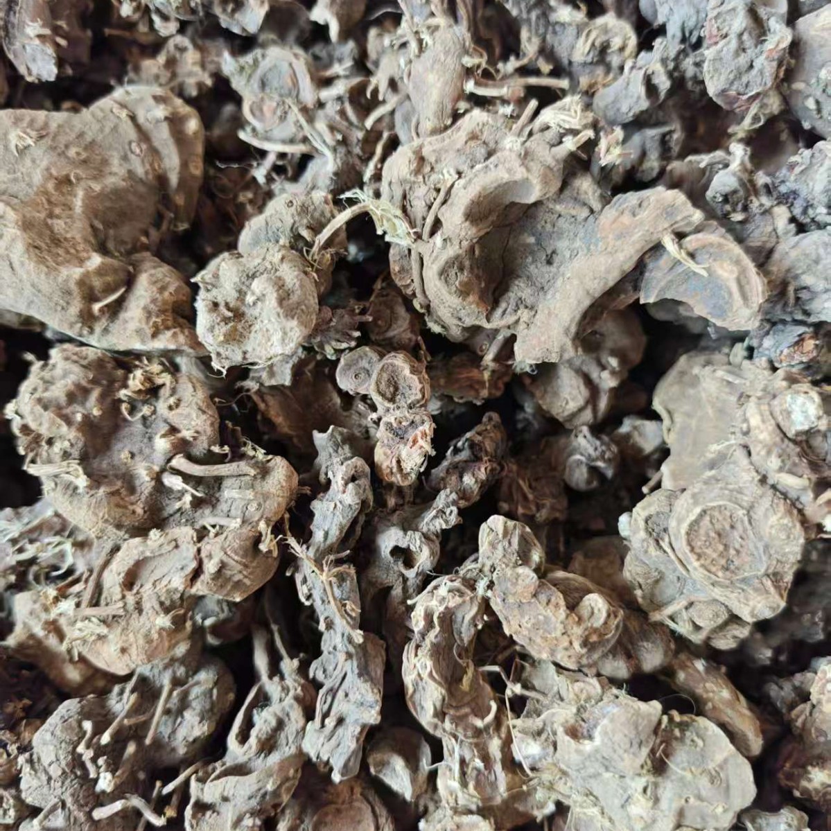 Ba Jiao Lian (Dysosma versipellis) — Dried Chinese Herbal Rhizome, 500g - Image 4