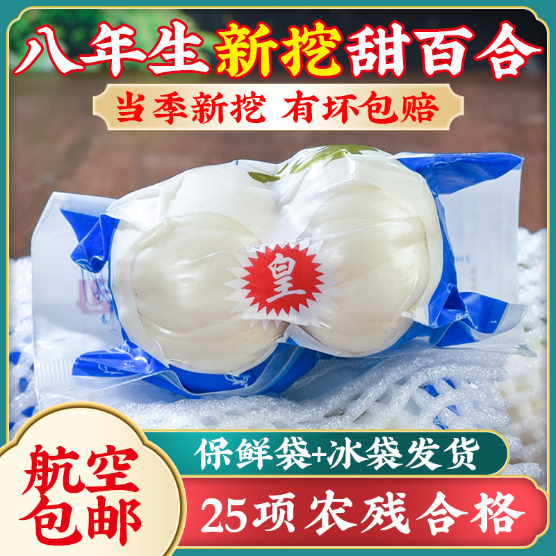 Fresh Lanzhou Lily Bulbs 500g Sweet Edible Bai He Premium Grade - Image 3