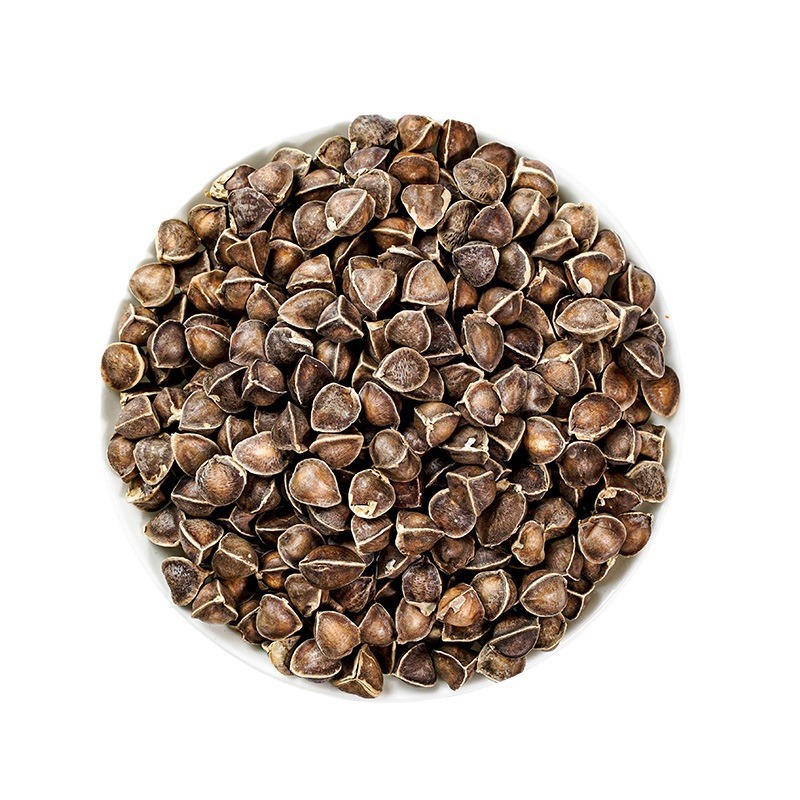 Moringa Seeds (Moringa oleifera) — La Mu Zi Dried Food Herb, 500g - Image 5