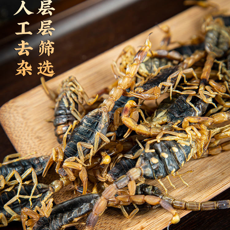 Dried Whole Scorpion Quan Xie 全蝎 100g Edible Chinese Herbal Ingredient for Infusion and Decoction - Image 4