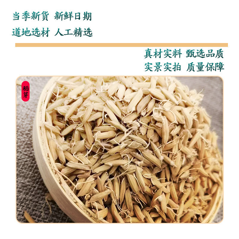 Dried Rice Sprout Dao Ya 500g x 2 Jars Raw Herb for Decoction and Herbal Tea - Image 3