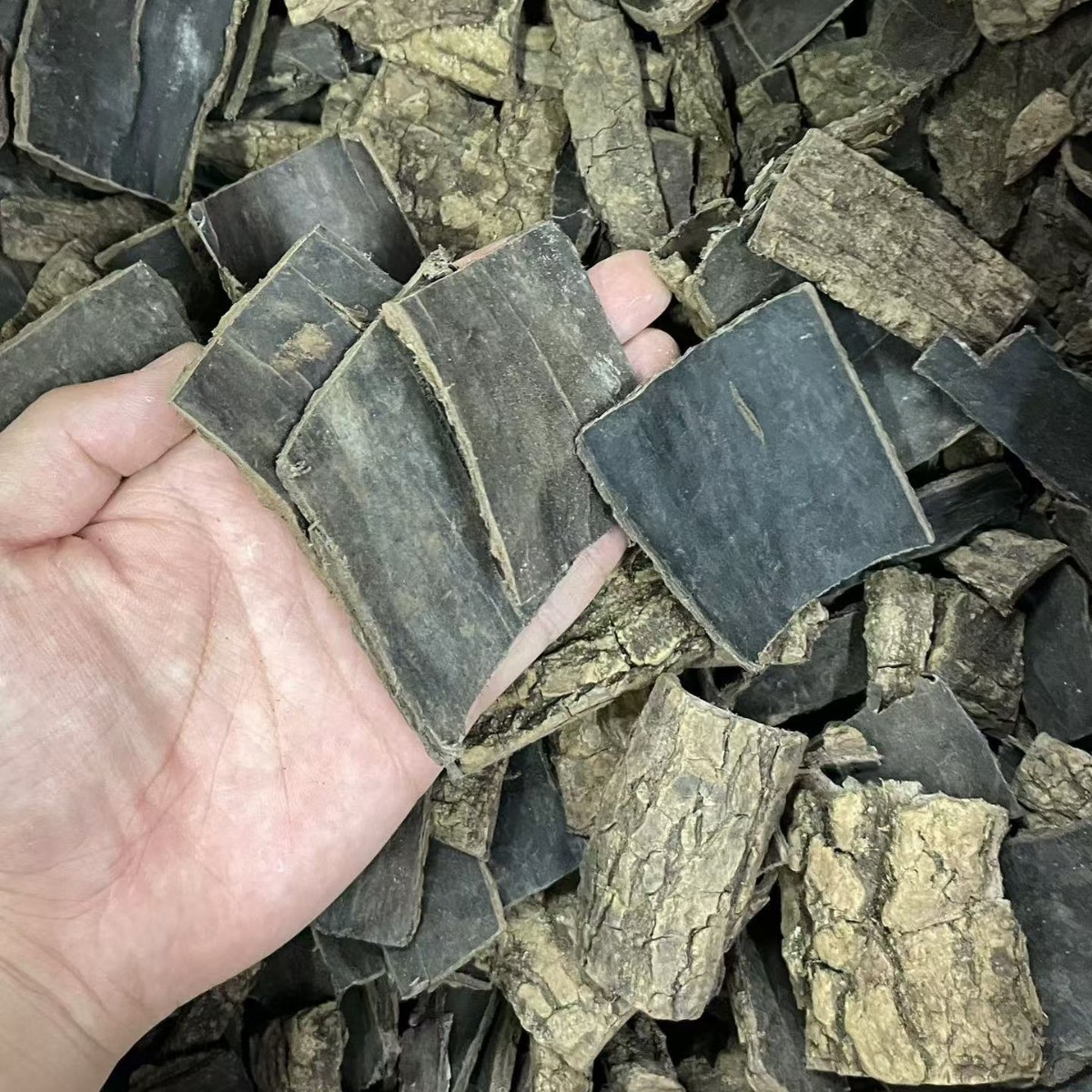 Dried Eucommia Bark Slices Du Zhong 500g Selected Grade for Traditional Herbal Decoction and Soup - Image 2