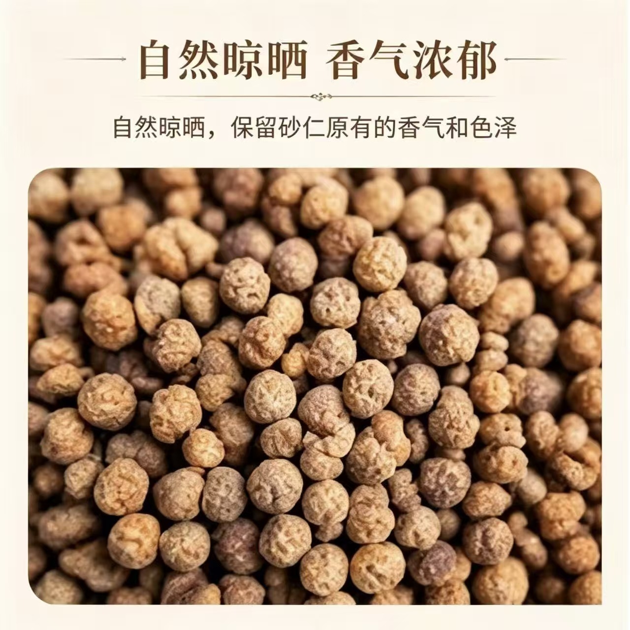 Dried Amomum Fruit Sha Ren 1000g Bag Traditional Chinese Herb for Cooking and Decoction - Image 3