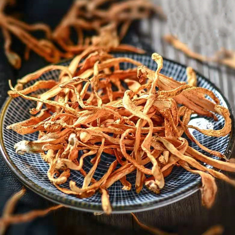 Cordyceps Flower (Cordyceps militaris) — Dried Food Herb for Soup & Tea, 500g - Image 4