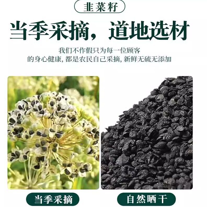 Chinese Chive Seed Tea Jiu Cai Zi Wild Leek Seeds Dried Herbal Seeds for Tea Wine Infusion 500g - Image 2