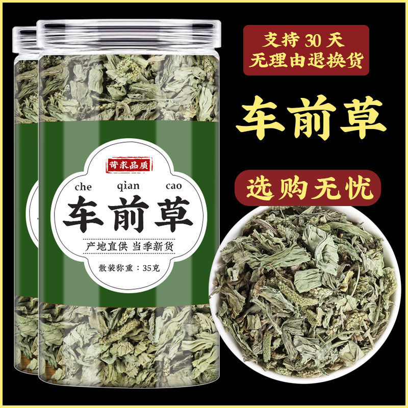 Dried Plantain Herb Che Qian Cao Whole Herb Tea and Decoction Herb 70g Bag - Image 2