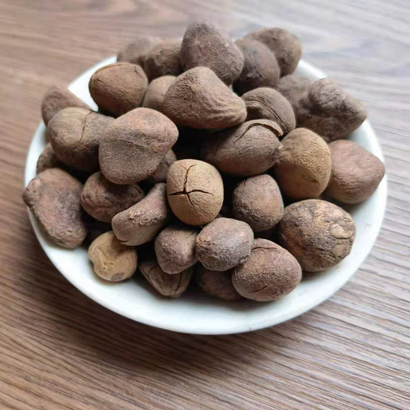 Dried Chaulmoogra Seeds Da Feng Zi 大枫子 Whole Herb Bulk Supply - Image 3