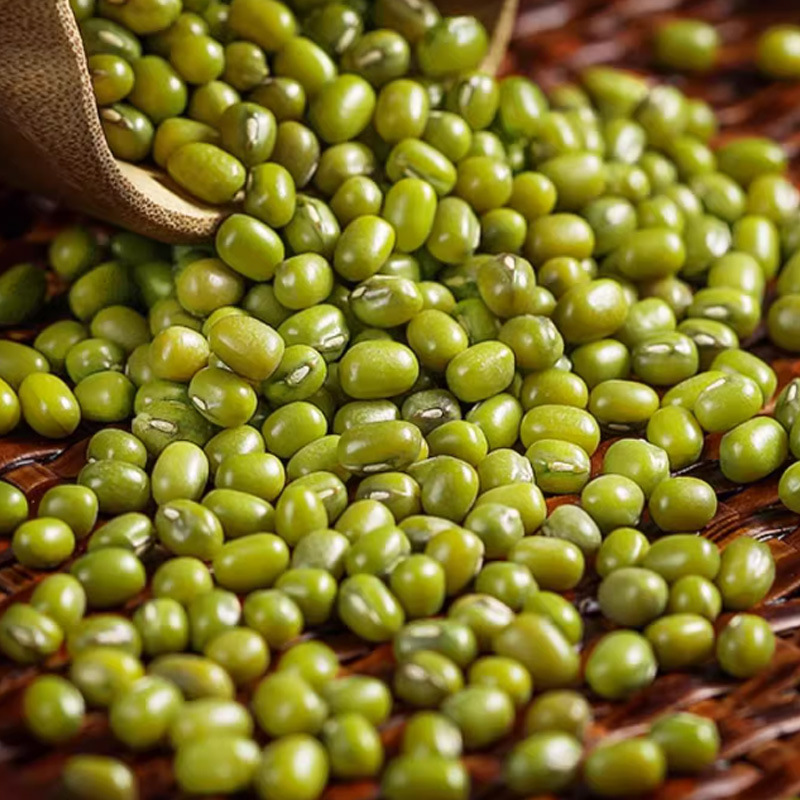 Mung Bean (Vigna radiata) — Dried Food-Herb Legume for Congee, Soups & Cooling Teas, 500g - Image 4