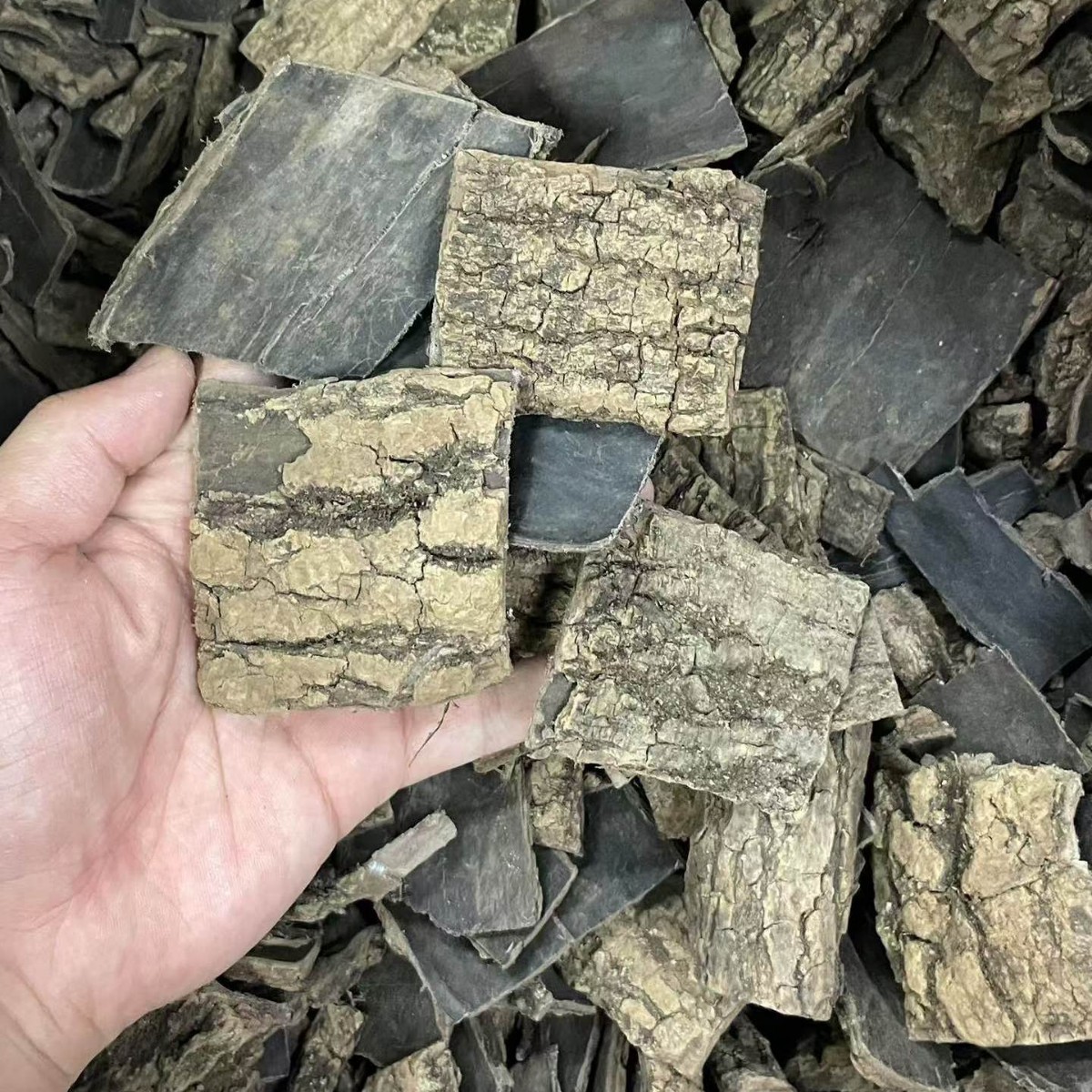 Dried Eucommia Bark Slices Du Zhong 500g Selected Grade for Traditional Herbal Decoction and Soup - Image 3
