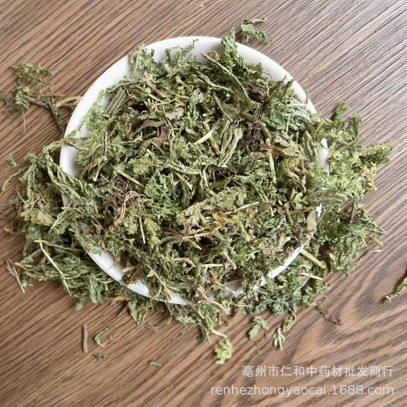 Dried Selaginella Herb Shi Shang Bai Whole Plant Traditional TCM Botanical Bulk Supply - Image 4