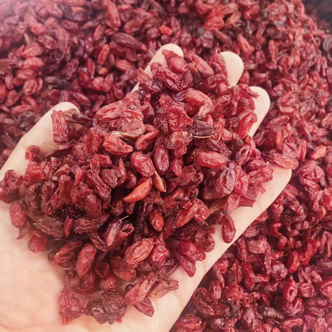 Cornus Fruit Shan Zhu Yu 山茱萸 Dried Herb 500g Traditional TCM Decoction Herb - Image 2