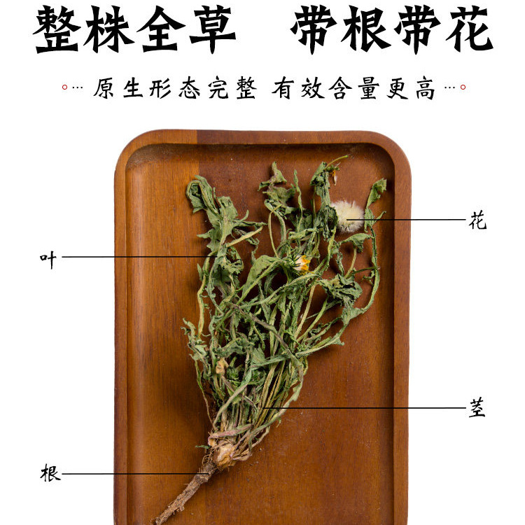 Dried Dandelion Whole Herb Pu Gong Ying 500g Wild Harvested Traditional Herbal Tea and Decoction Ingredient - Image 2