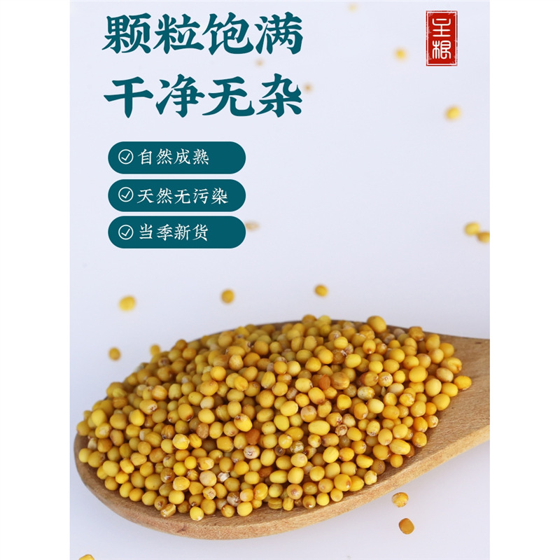 Yellow Mustard Seed 100g Bai Jie Zi Traditional Chinese Herb Culinary Spice Whole Seeds - Image 4