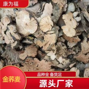 Jin Qiao Mai (Fagopyrum cymosum) — Dried Food Herb Root, Also Known as Golden Buckwheat Root