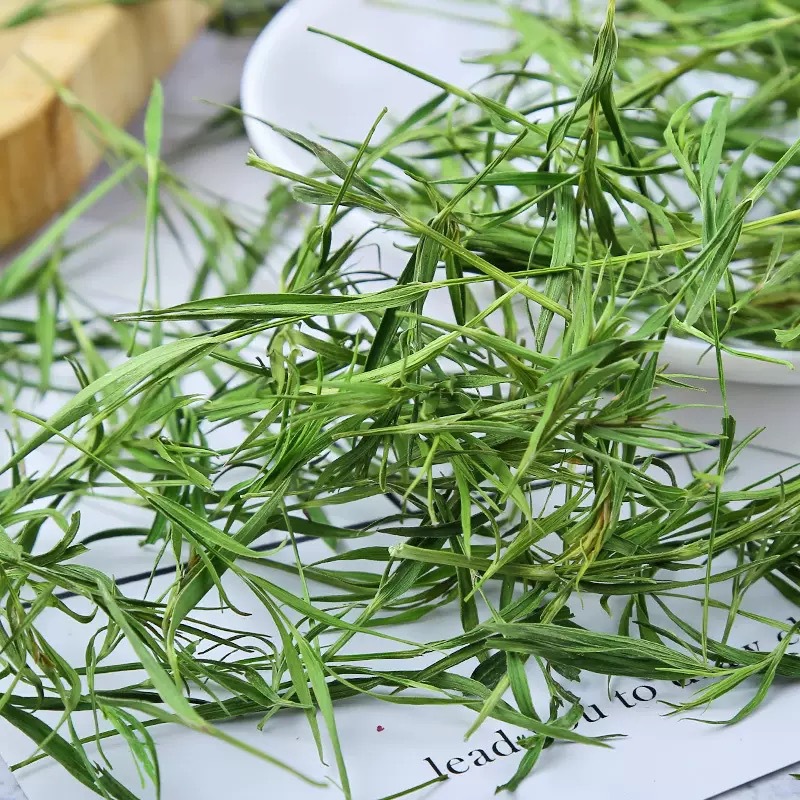 Dried Shizhuye Herbal Tea 500g Chinese Dianthus Leaf Flower Tea for Daily Brewing - Image 3