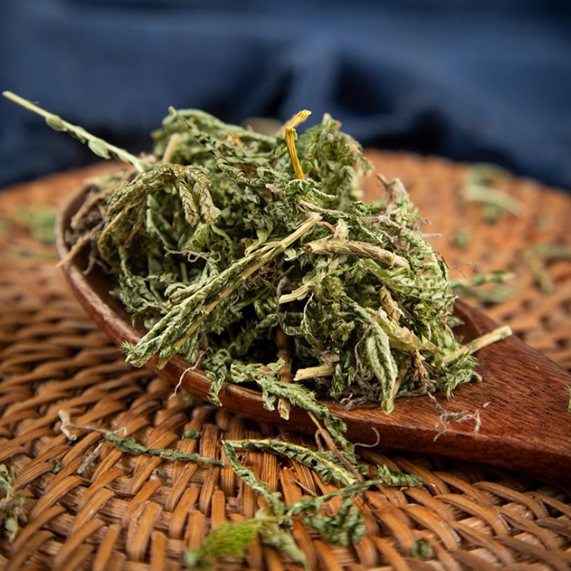 Shi Shang Bai Dried Selaginella Herb 500g Traditional Chinese Herbal Tea Ingredient - Image 3