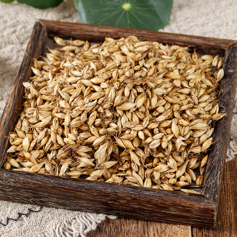 Stir-Fried Malt Sprout Chao Mai Ya 250g Dried Barley Sprout Tea Herb - Image 2