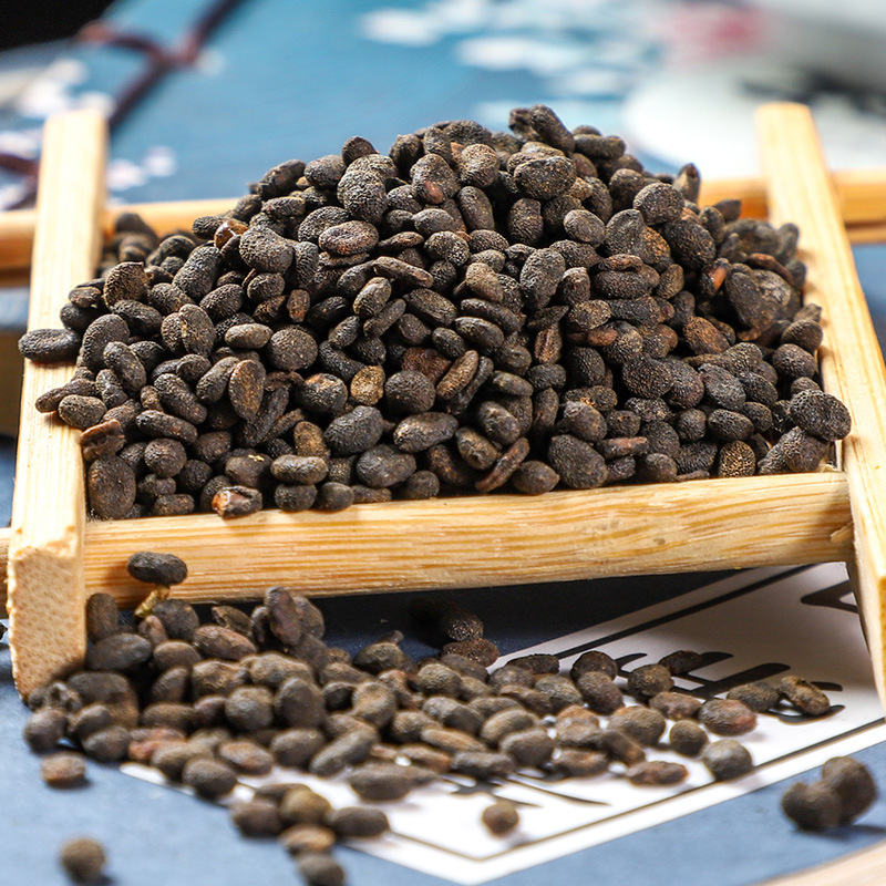 Bu Gu Zhi (Psoralea corylifolia) — Prepared Psoralea Seeds, Food Herb for Decoction & Powder - Image 2