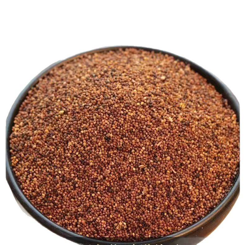 Dodder Seed Tu Si Zi 500g Dried Cuscuta Seeds for Wine Infusion Soup and Decoction - Image 5