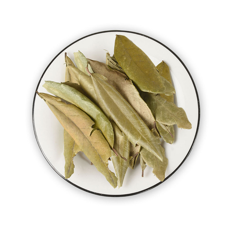 Hu Tui Zi Ye (Elaeagnus pungens Leaf) — Dried TCM Herb Leaf, 500g - Image 5
